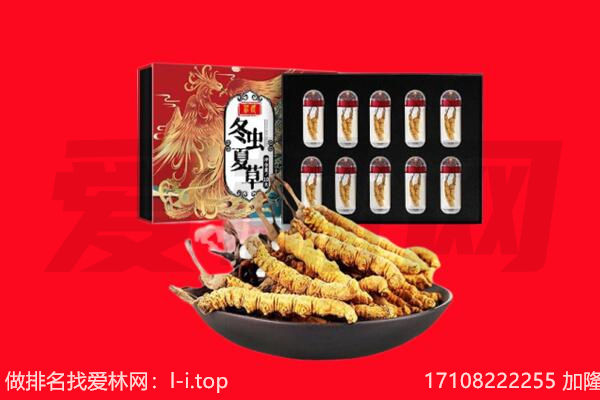 崇左市江州回收虫草.jpg